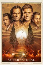 Imagen temporada-2-11779-season-2.jpg